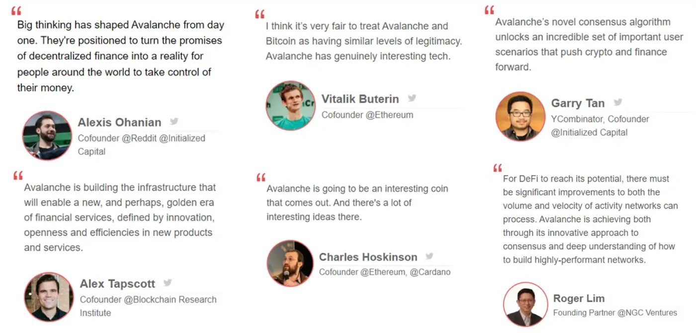 Screenshot of 6 endorsements of Avalanche by famous crypto personalities: Alexis Ohanian, Vitalik Buterin, Garry Tan, Alex Tapscott, Charles Hoskinson, and Roger Lim.