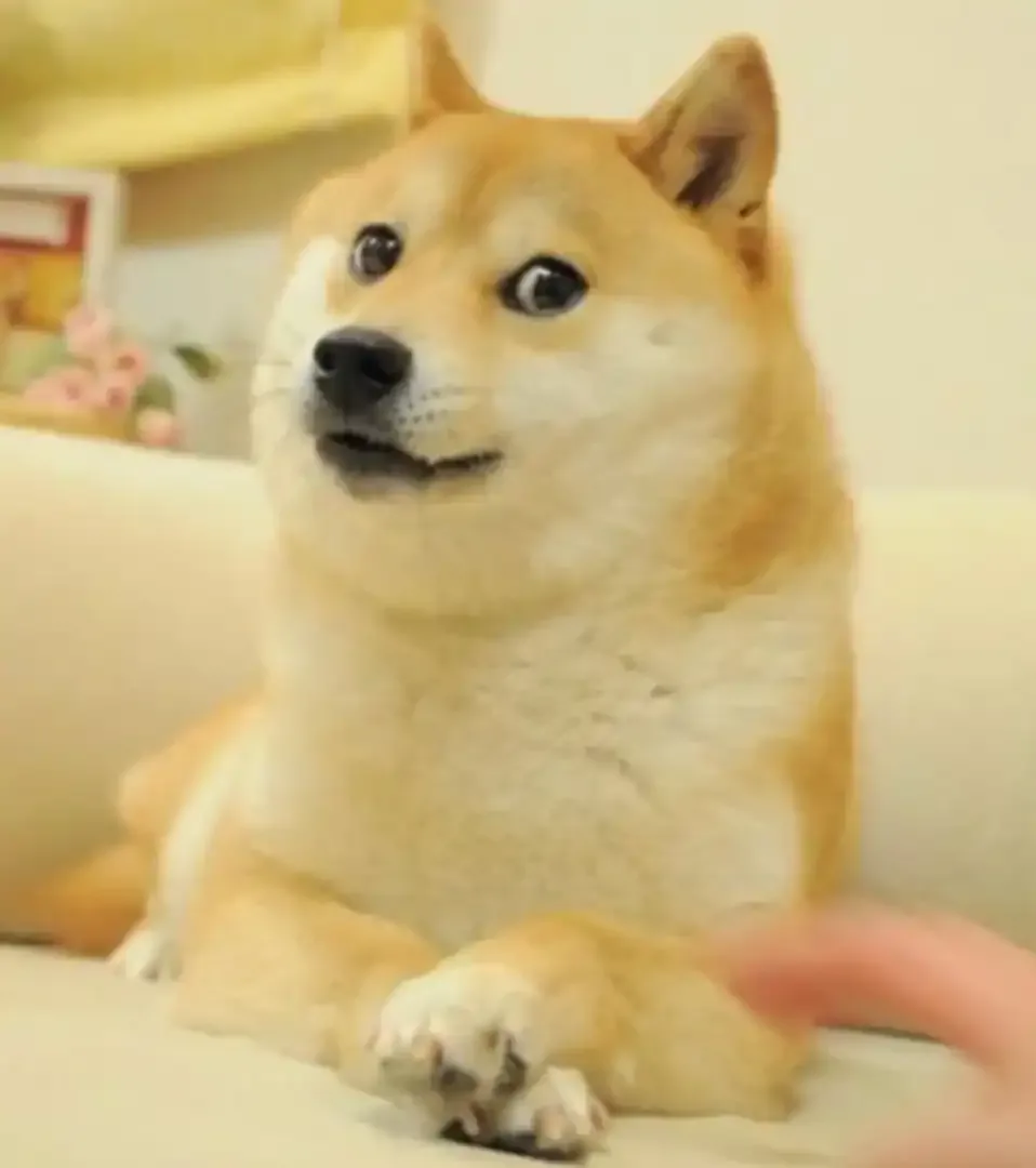 An image of a Shiba Inu dog used in the form of a meme throughout the early 2010s on the internet.