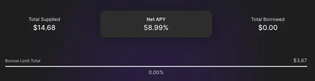 The net lending APY for KAVA, which is at the time of writing at approximately 59%. Not bad, considering there are no time restrictions.