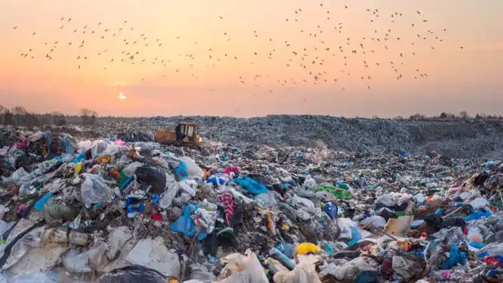 Image of a garbage dump. The top-half of the image shows an orange sky and flying birds. The bottom-half of the image shows seemingly endless piles of trash.